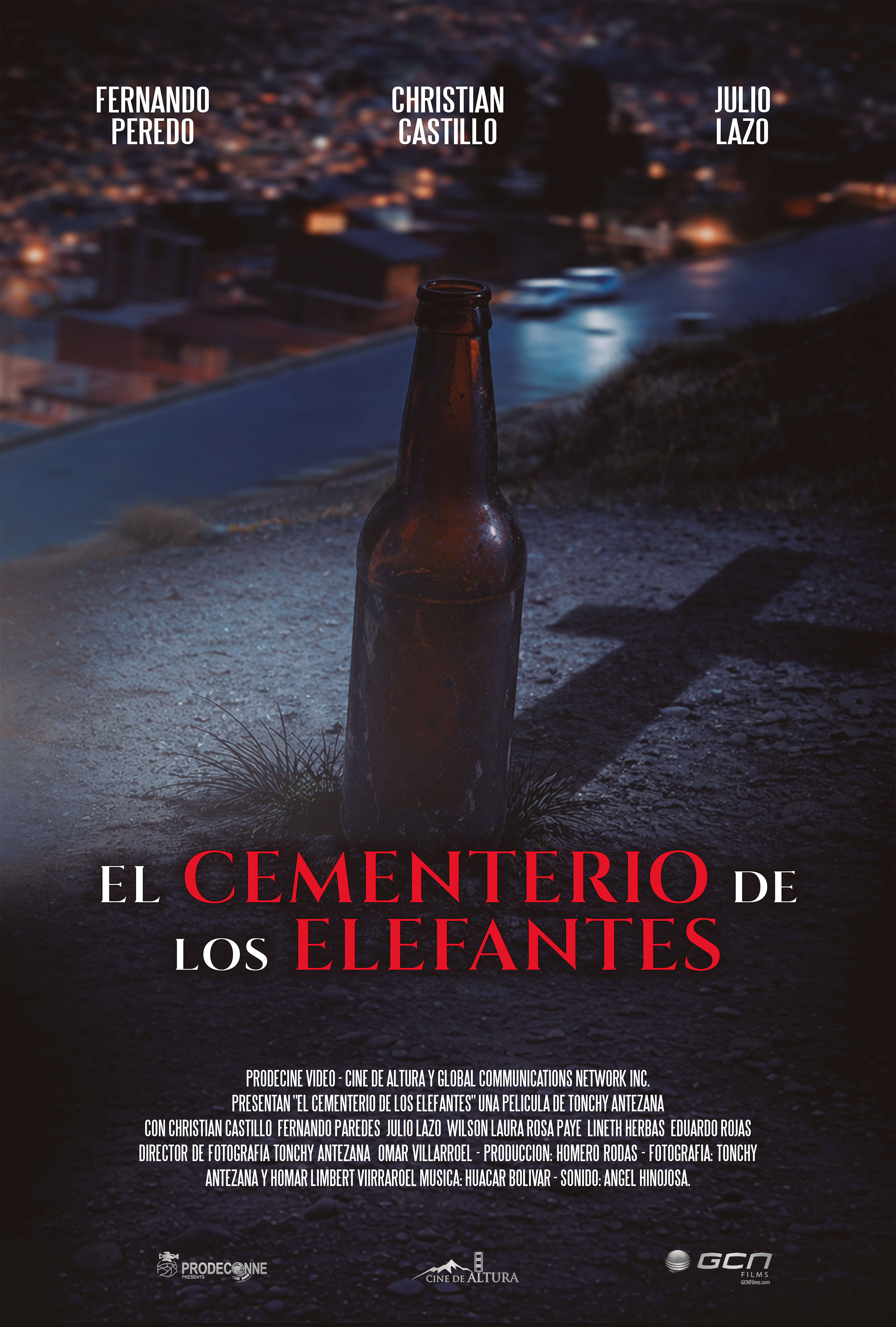 EL CEMENTERIO DE LOS ELEFANTES