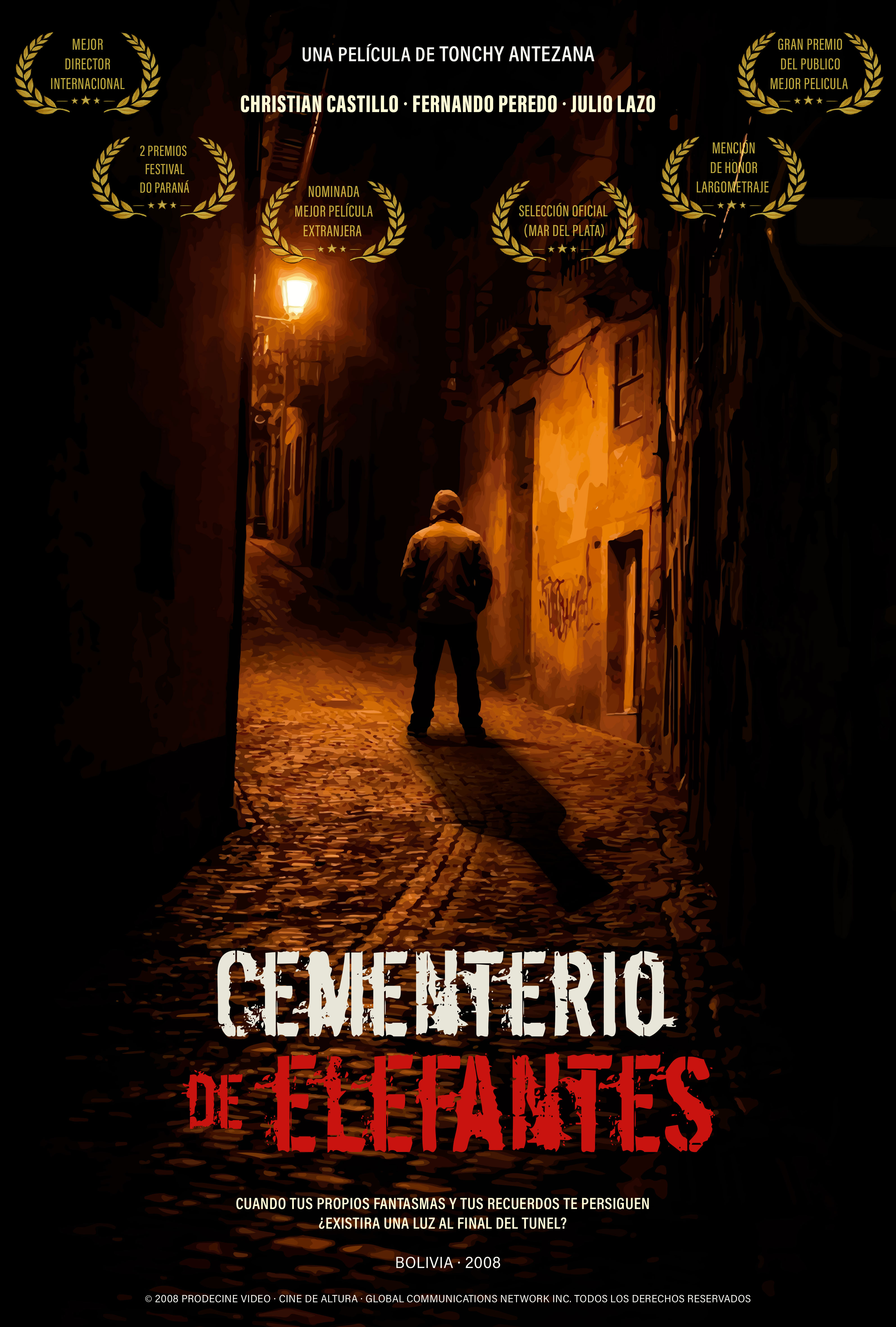 EL CEMENTERIO DE LOS ELEFANTES
