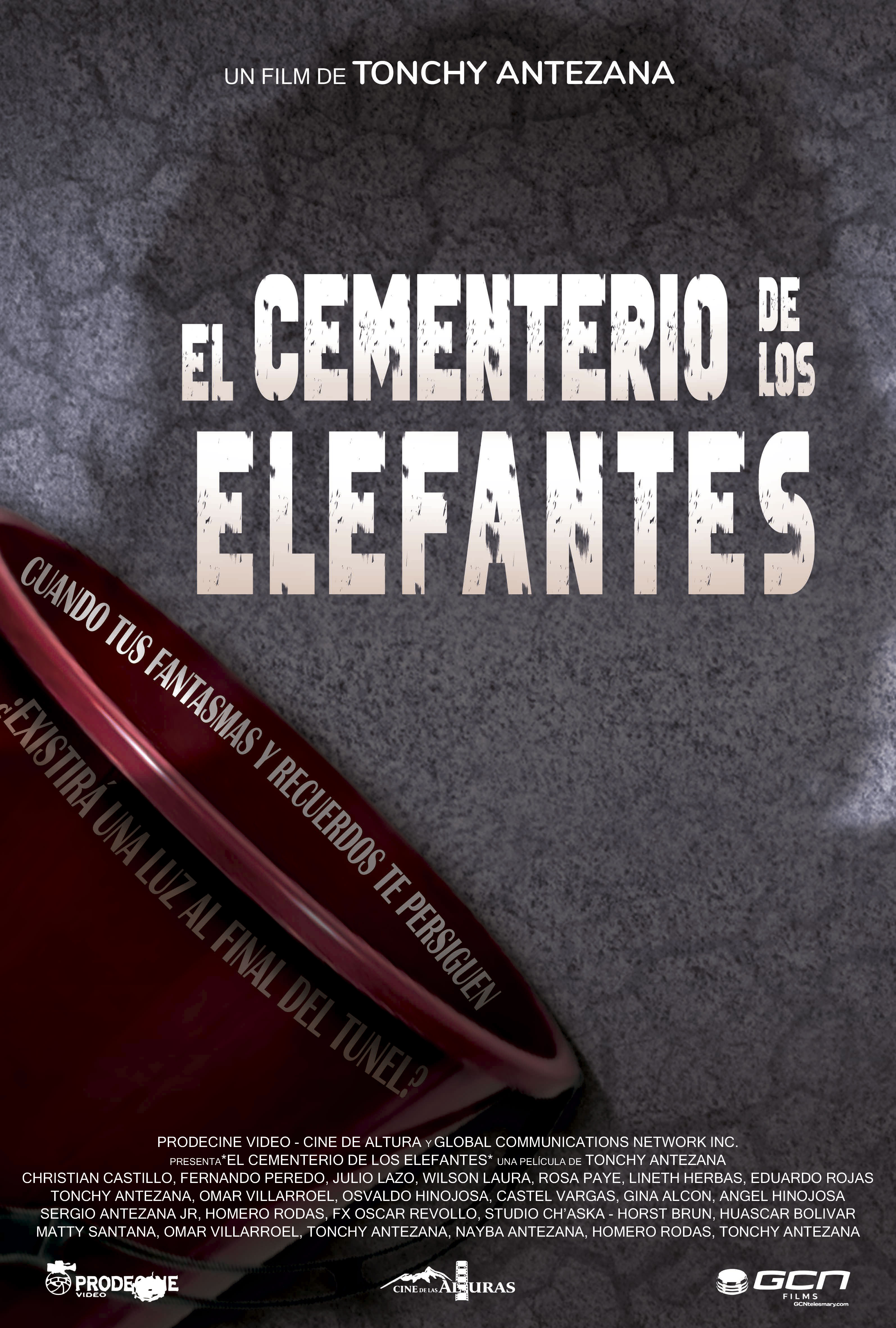EL CEMENTERIO DE LOS ELEFANTES