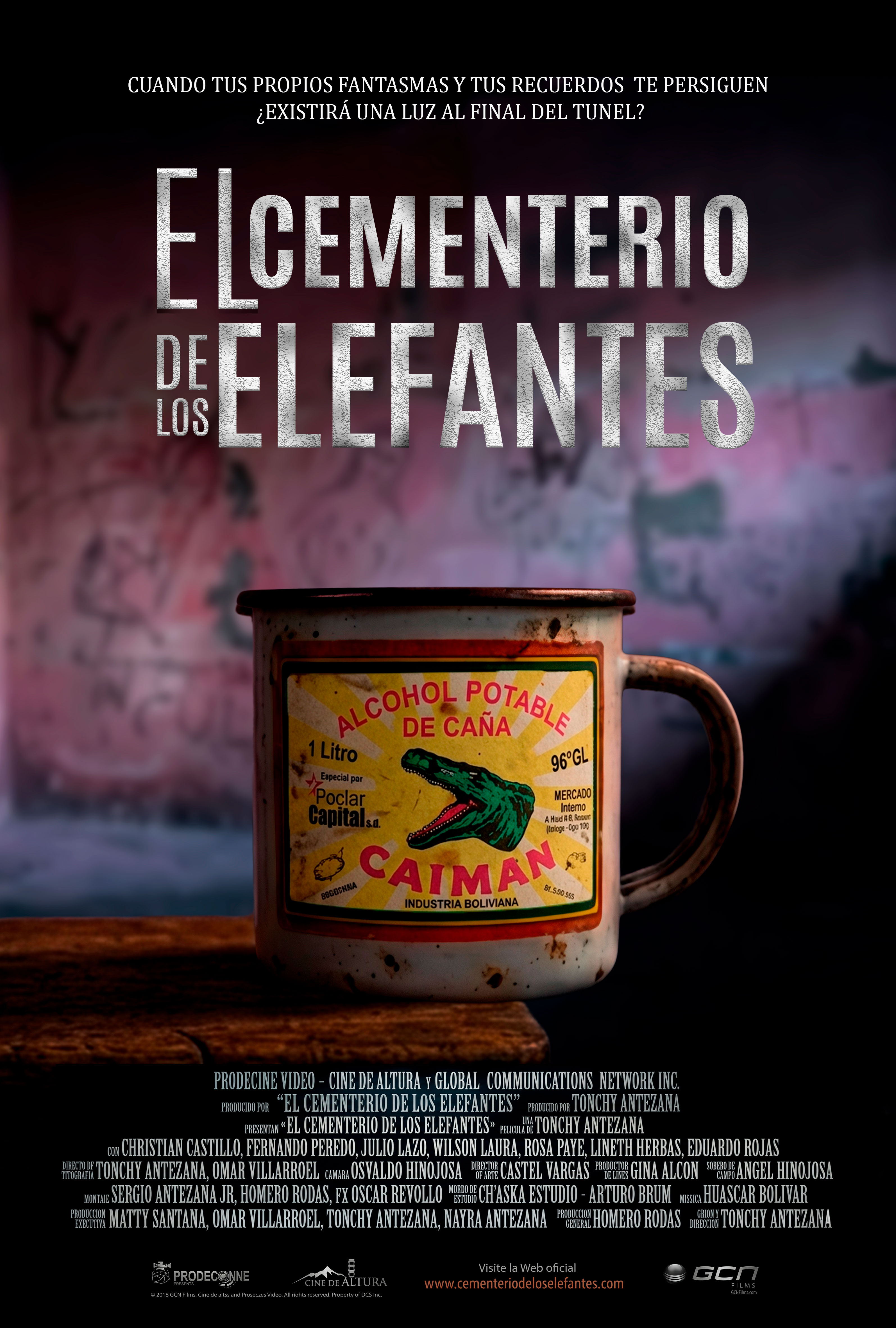 EL CEMENTERIO DE LOS ELEFANTES